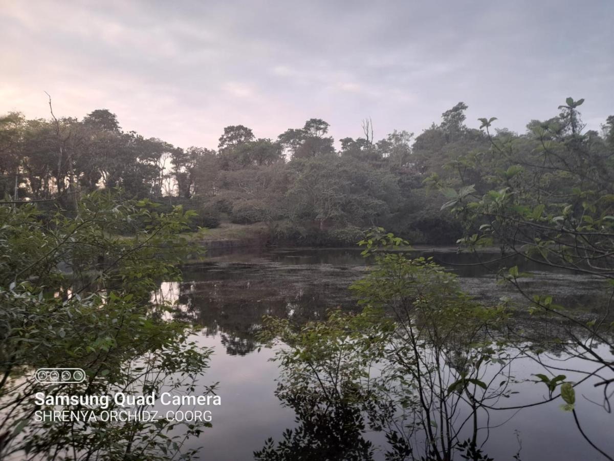 Shrenya Orchidz-Coorg Nature Stay Madikeri Exteriör bild