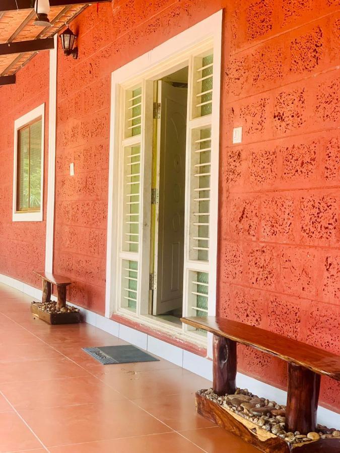 Shrenya Orchidz-Coorg Nature Stay Madikeri Exteriör bild