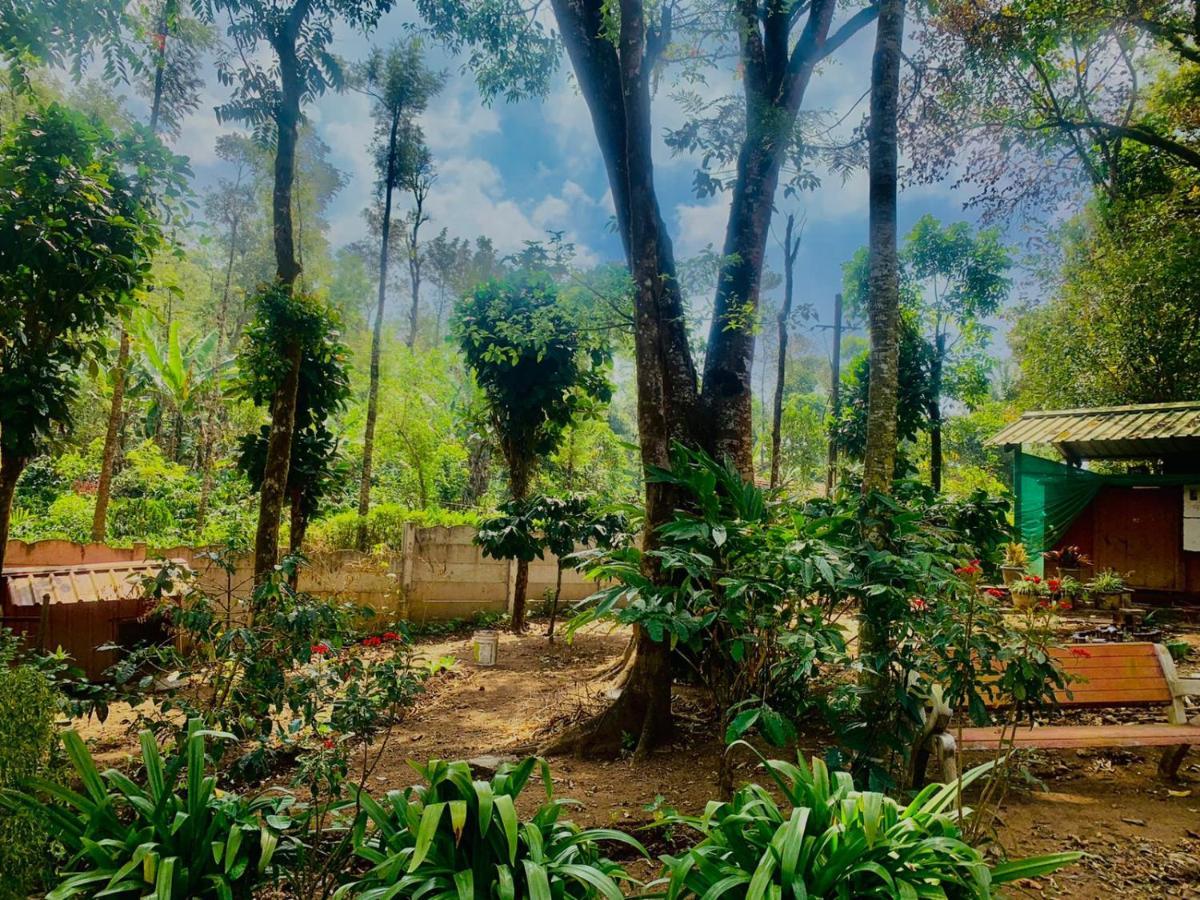 Shrenya Orchidz-Coorg Nature Stay Madikeri Exteriör bild