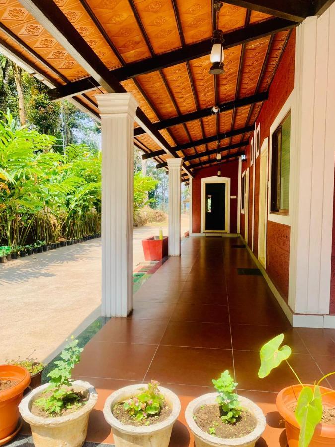 Shrenya Orchidz-Coorg Nature Stay Madikeri Exteriör bild