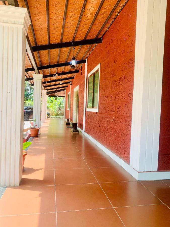 Shrenya Orchidz-Coorg Nature Stay Madikeri Exteriör bild