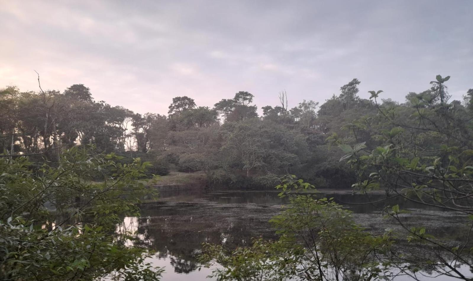 Shrenya Orchidz-Coorg Nature Stay Madikeri Exteriör bild