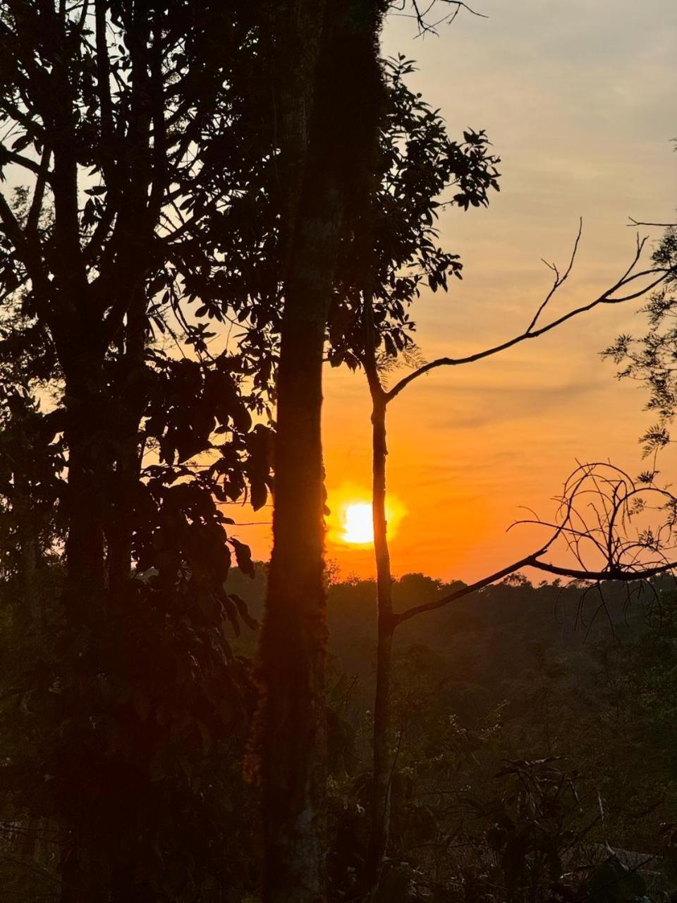 Shrenya Orchidz-Coorg Nature Stay Madikeri Exteriör bild