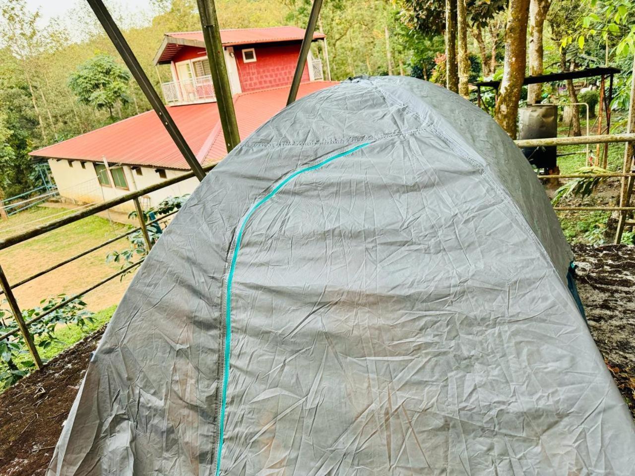 Shrenya Orchidz-Coorg Nature Stay Madikeri Exteriör bild