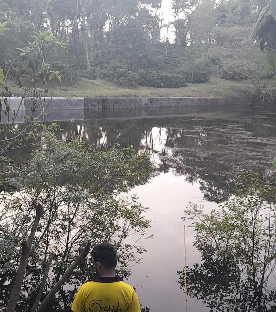 Shrenya Orchidz-Coorg Nature Stay Madikeri Exteriör bild