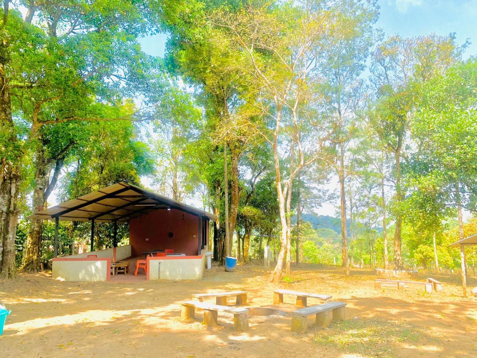 Shrenya Orchidz-Coorg Nature Stay Madikeri Exteriör bild